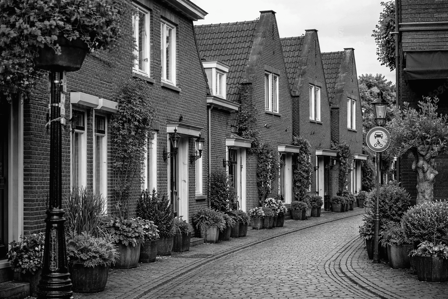 Insight Content Image